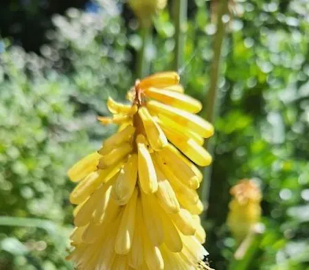 公寓 In Den Gaerten Spelle